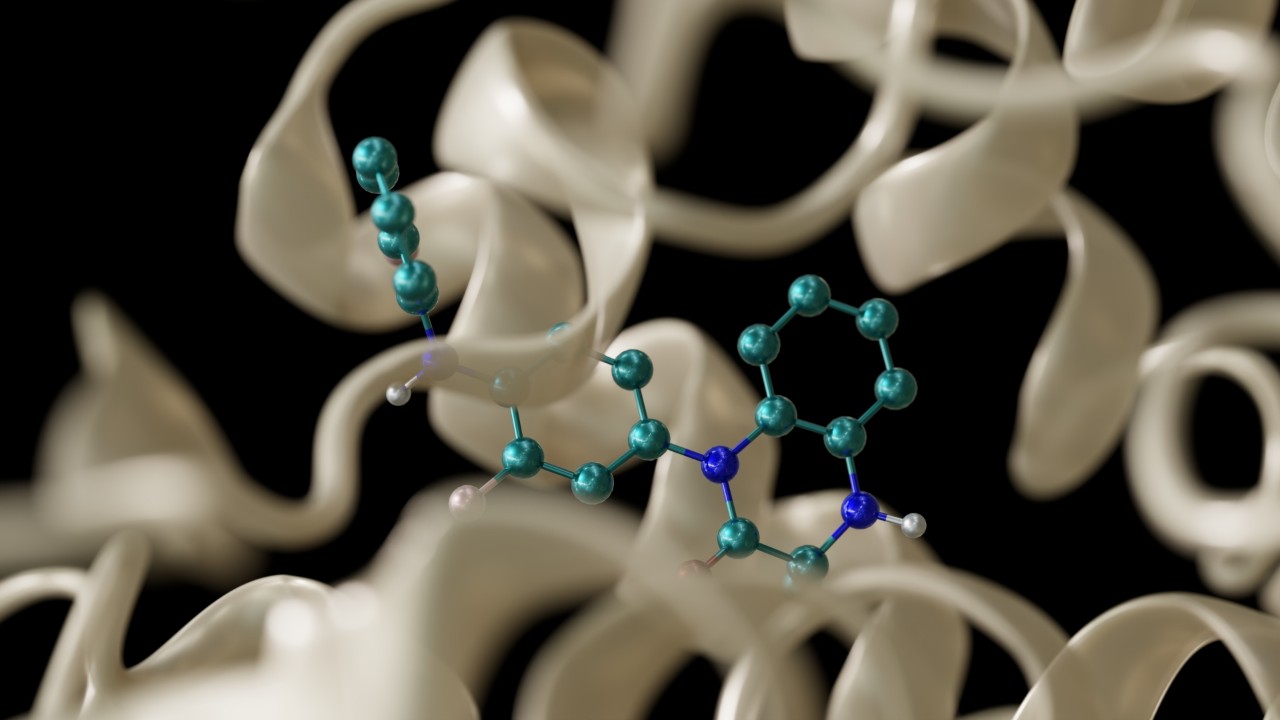 BioNeMo 新增用于药物研发的基础模型